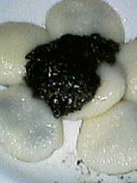 つるん♪こっくり♪黒胡麻白玉