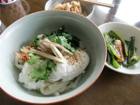 夏に♪ぶっかけうどん☆と☆サラダうどん♪