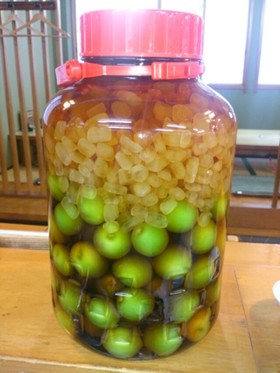 ブランデーで!手作り梅酒