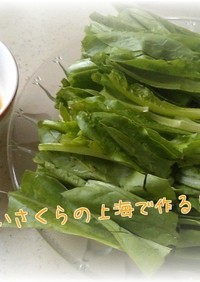 麻酱油麦菜(ムギレタスの胡麻ソース添え)