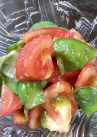 トマト＆バジルのサラダ
