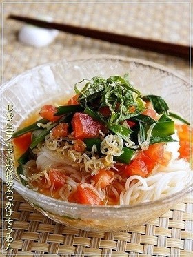 じゃこニラトマトだれのぶっかけそうめん
