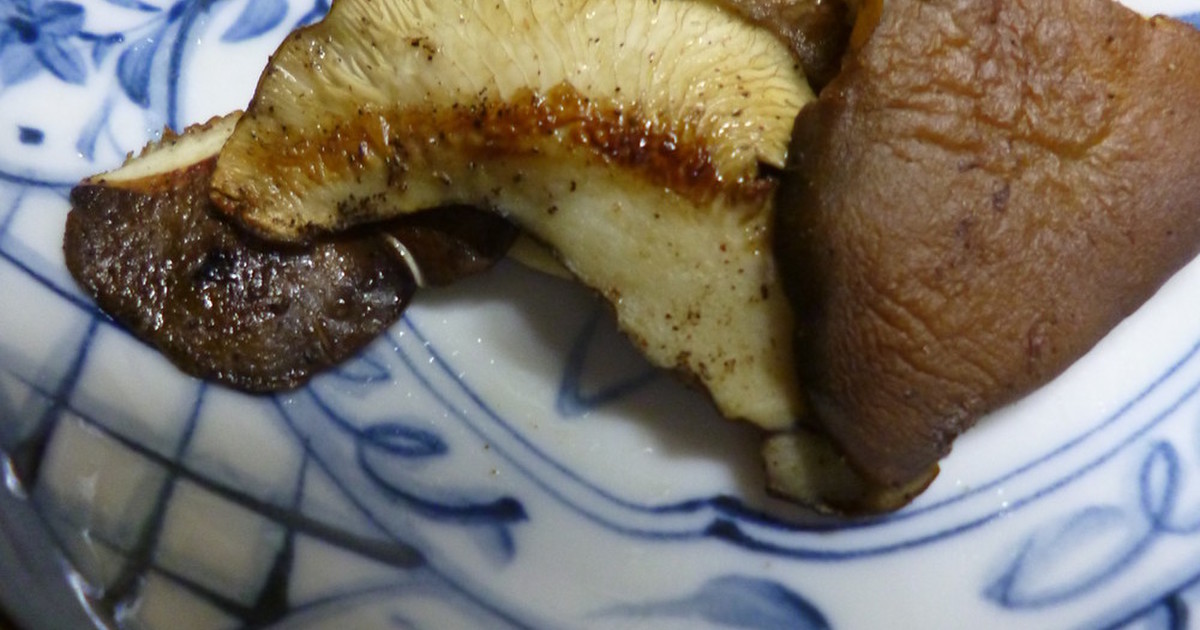 黒あわび茸のステーキ by はーとねこ 【クックパッド】 簡単おいしいみんなのレシピが355万品