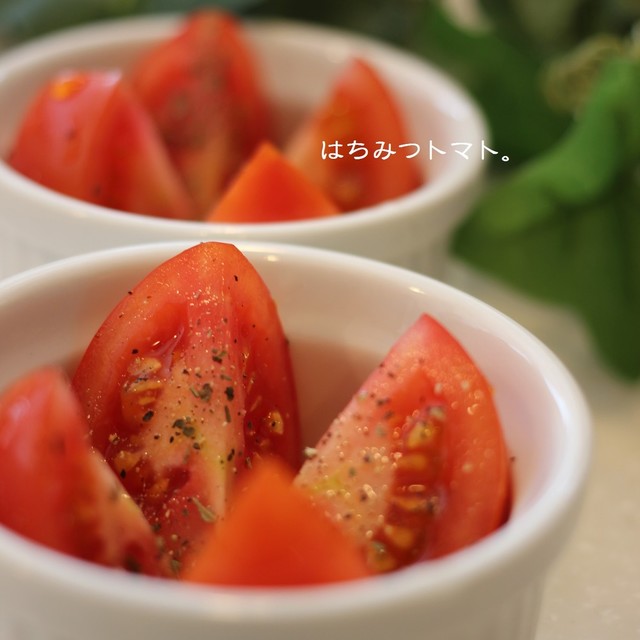 はちみつトマト レシピ 作り方 By まみお クックパッド 簡単おいしいみんなのレシピが356万品 はちみつトマト レシピ 作り方 By まみお クックパッド 簡単おいしいみんなのレシピが356万品