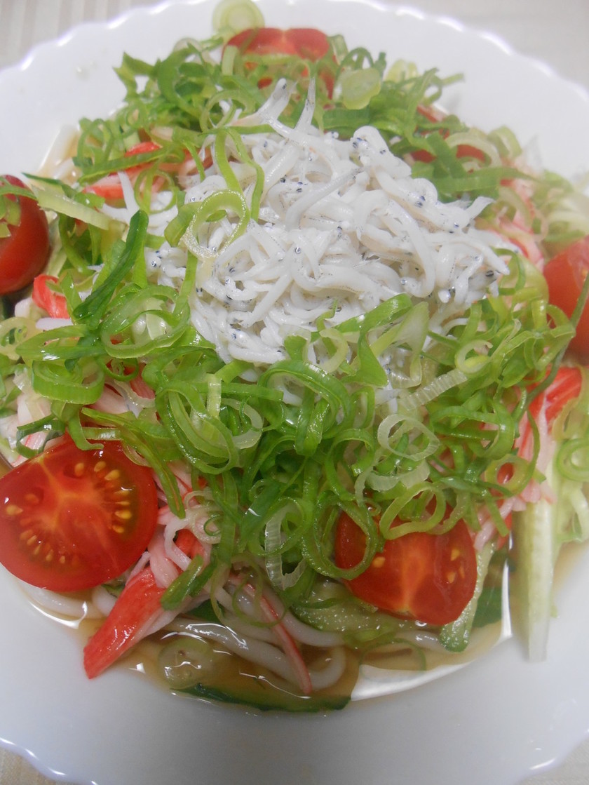 流水麺うどんで冷やしシラスおろしうどん by はなおじさん 【クックパッド】 簡単おいしいみんなのレシピが350万品