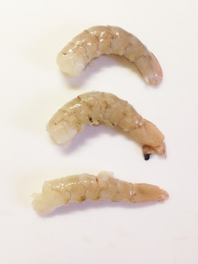 簡単綺麗♪エビの背わた、腹わた下処理方法