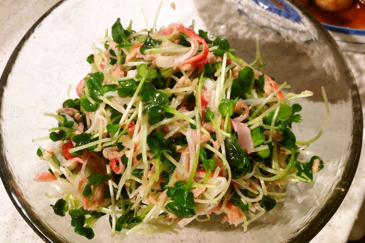 ぶきっちょさんでも旨くなるカイワレサラダ レシピ 作り方 By ちっちこぷっち クックパッド 簡単おいしいみんなのレシピが352万品