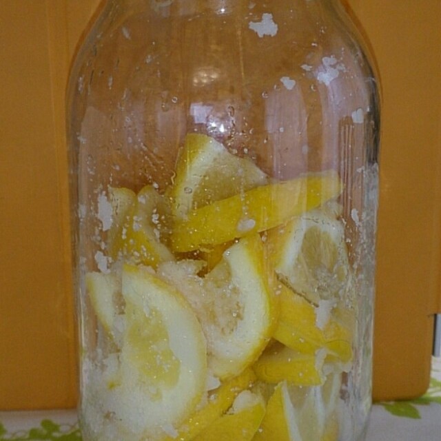 皮まで食べれるメイヤーレモンの塩レモン レシピ 作り方 By フラミンゴちゃん クックパッド 簡単おいしいみんなのレシピが351万品