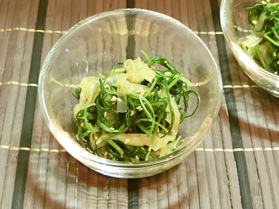 芽ひじきとクラゲの副菜の写真