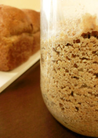 小麦ふすま発酵種＠糖質制限ﾊﾟﾝ用発酵種