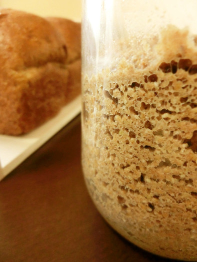 小麦ふすま発酵種＠糖質制限ﾊﾟﾝ用発酵種の写真
