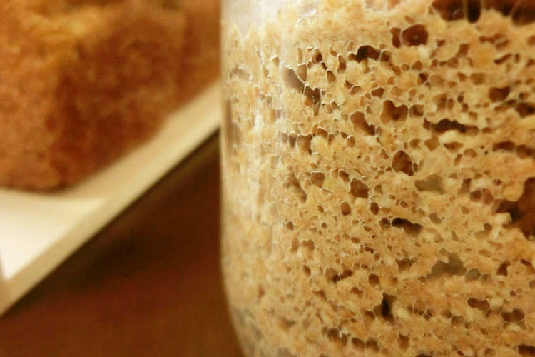 小麦ふすま発酵種 糖質制限ﾊﾟﾝ用発酵種 レシピ 作り方 By ミセスおおから クックパッド 簡単おいしいみんなのレシピが352万品