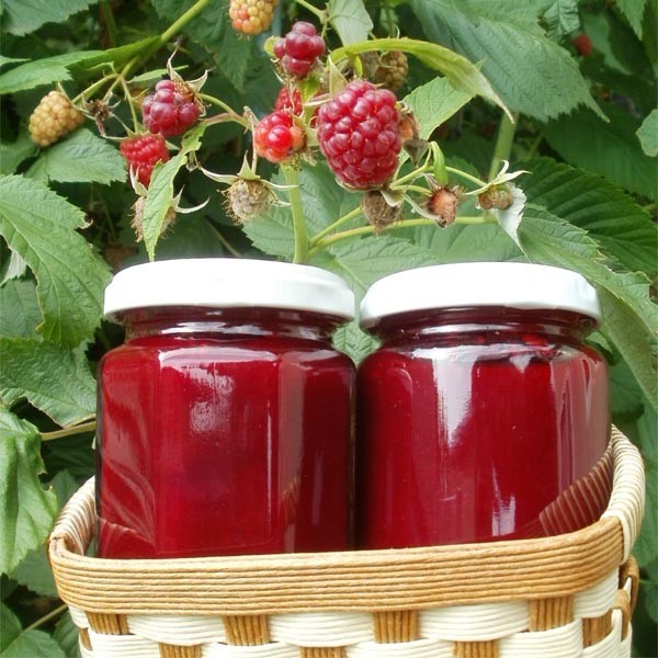 自家製ラズベリーウォッカのレシピ