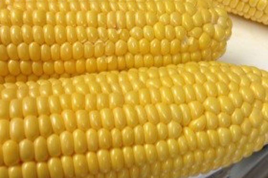 トウモロコシのヒゲを綺麗にとる方法 レシピ 作り方 By こじこじ７ クックパッド 簡単おいしいみんなのレシピが379万品