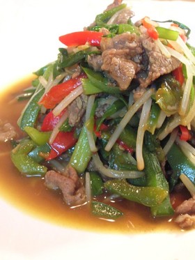 青椒肉絲風★野菜とお肉の中華炒め