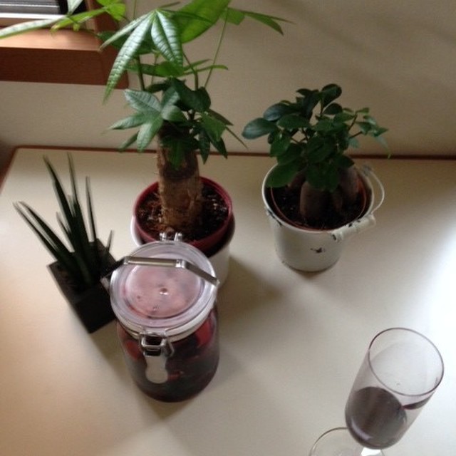 サングリア すだち 他 のみもの レシピ 作り方 By 器乃 Kino クックパッド 簡単おいしいみんなのレシピが354万品