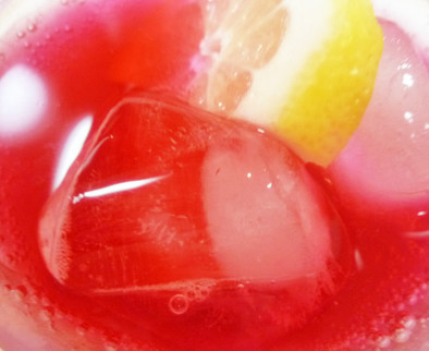 絶品塩レモンＤＥ赤紫蘇ジュース実験中の写真