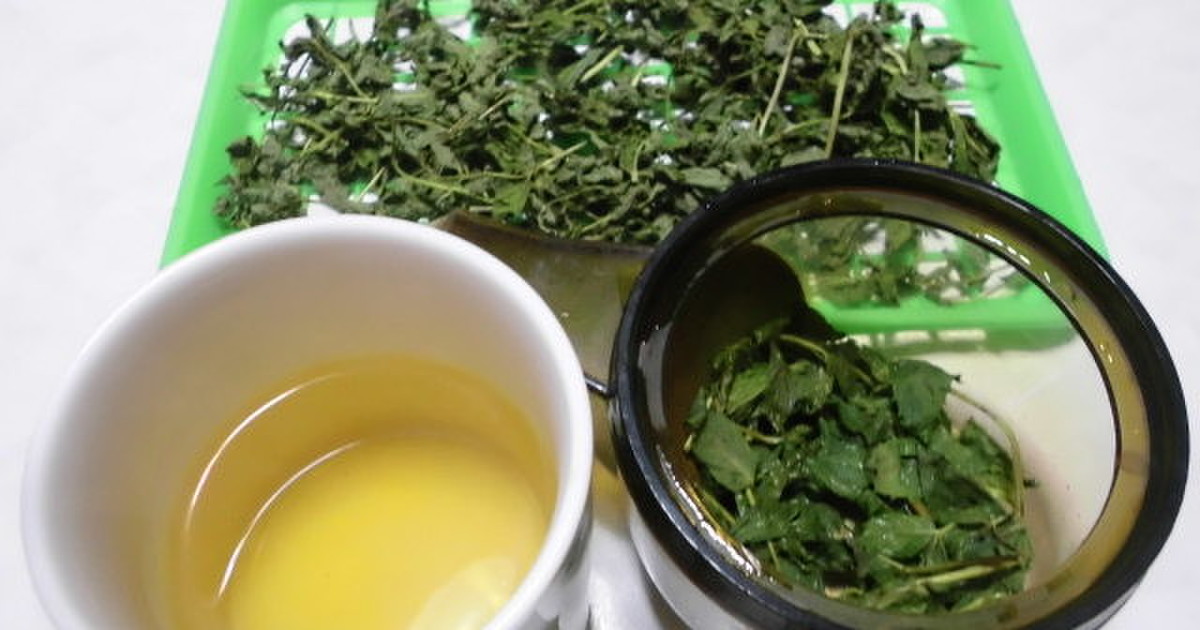 ミントのお茶 ミントティー レシピ 作り方 By 居酒屋花子 クックパッド 簡単おいしいみんなのレシピが360万品