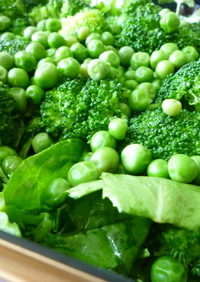 緑サラダ　～簡単ドレッシングで旬の野菜を