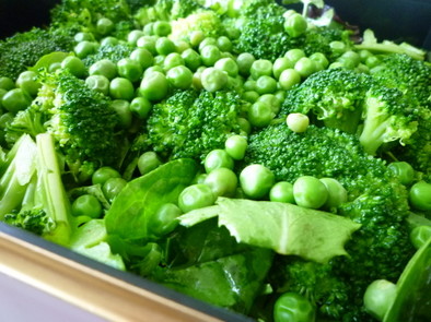 緑サラダ　～簡単ドレッシングで旬の野菜をの写真