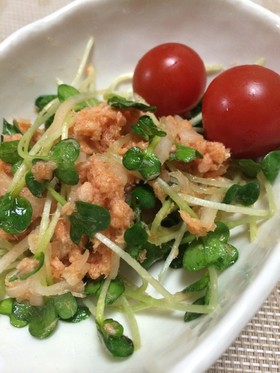 超簡単!ダブル大根と鮭缶の和風サラダ