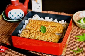 【精進うなぎ】なんちゃってうなぎでうな重
