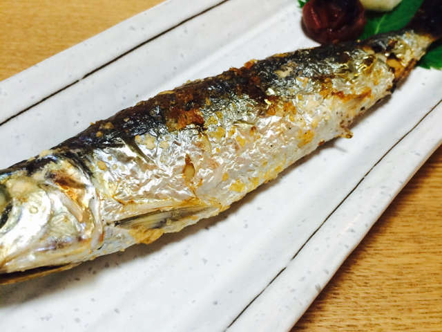 いわし 塩焼き ビデオ 日本の無料ブログ