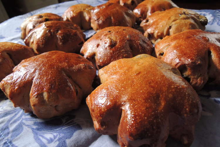 レーズンとくるみの黒糖パン レシピ 作り方 By Tysk クックパッド 簡単おいしいみんなのレシピが356万品