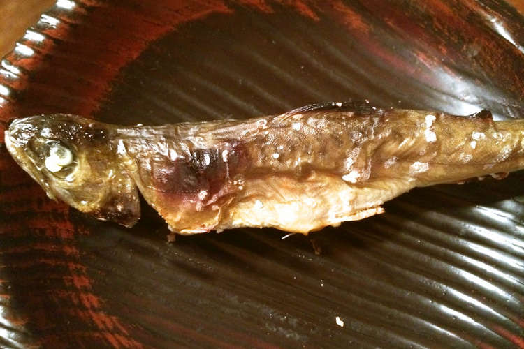 魚焼きグリルde岩魚 イワナ の塩焼き レシピ 作り方 By こま川めし クックパッド 簡単おいしいみんなのレシピが353万品