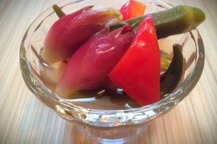 簡単 夏野菜のピクルス レシピ 作り方 By のんちぇぶ クックパッド 簡単おいしいみんなのレシピが352万品