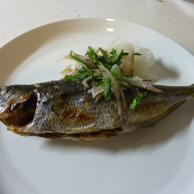 鮪 タカベ の塩焼き レシピ 作り方 By ねこむすめに クックパッド 簡単おいしいみんなのレシピが359万品 鮪 タカベ の塩焼き レシピ 作り方 By ねこむすめに クックパッド 簡単おいしいみんなのレシピが359万品