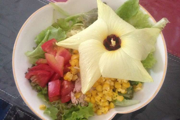 花おくらと冷やし中華 レシピ 作り方 By S10k03 クックパッド 簡単おいしいみんなのレシピが367万品