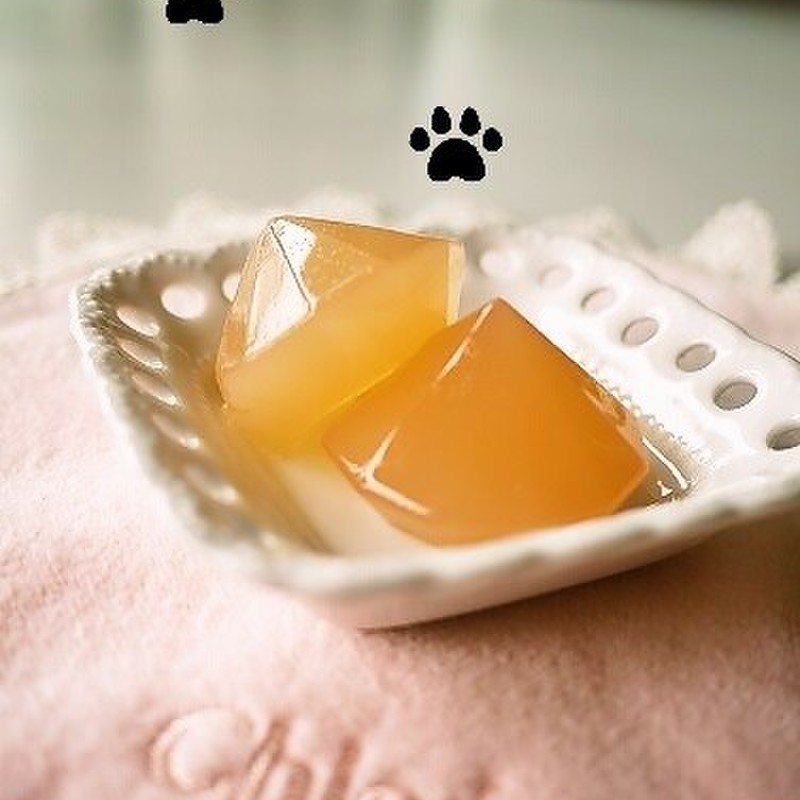 みんなが作ってる 犬用 ドリンクのレシピ クックパッド 簡単おいしいみんなのレシピが339万品