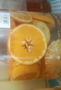 ホームメイド果実酒：バレンシアオレンジ