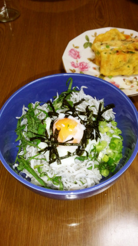 私の大好きなしらす丼(*^^*)