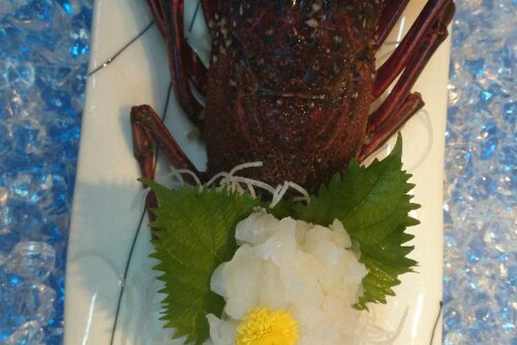 伊勢えびの活き造り お刺身 画像付き レシピ 作り方 By うさたろう クックパッド 簡単おいしいみんなのレシピが361万品