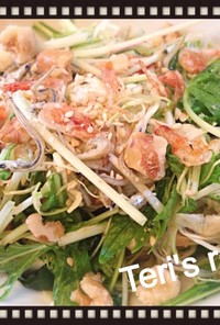 水菜ジャコ鰹節キャベツ桜海老の美肌サラダ