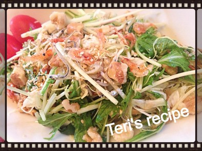 水菜ジャコ鰹節キャベツ桜海老の美肌サラダの写真