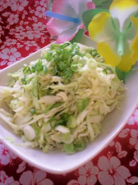Hawaii名物♪Ramen Salad