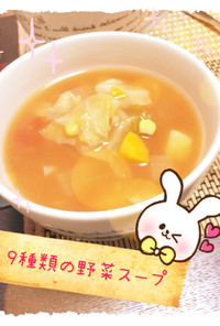 簡単！9種類の野菜スープ☆