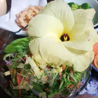 花オクラのサラダの写真