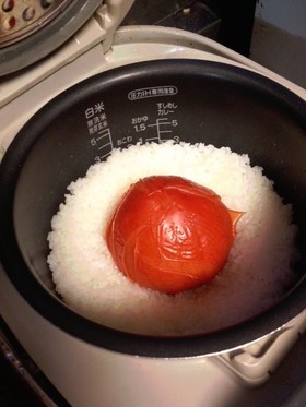 簡単!アレンジ自在♪トマトごはん