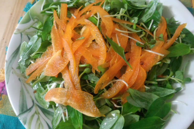 野草を楽しむ 露草とﾊﾟﾌﾟﾘｶのサラダ レシピ 作り方 By Thenral T クックパッド 簡単おいしいみんなのレシピが379万品