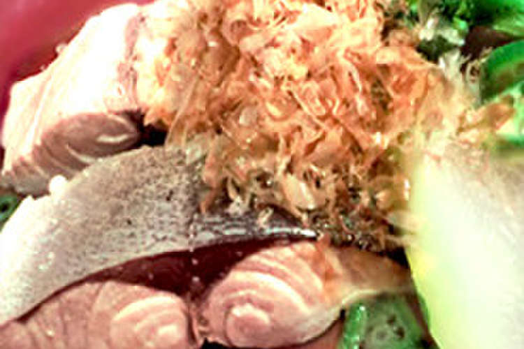 イナダと冬瓜のスープ 犬 手作りご飯 レシピ 作り方 By 真彩子のレシピ クックパッド 簡単おいしいみんなのレシピが349万品