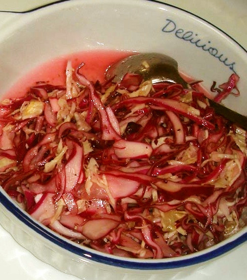(科学実験) 赤いコールスローサラダの画像