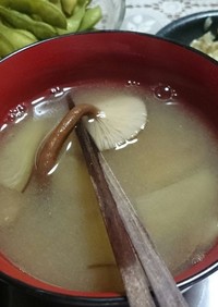 ナラタケ（ナラタケモドキ）の味噌汁