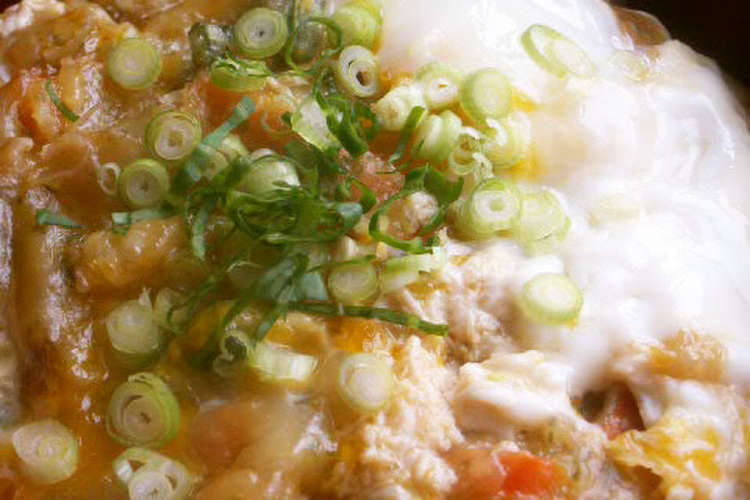 簡単に丼の出汁黄金比 かき揚げ玉丼偏 レシピ 作り方 By コナ寿 クックパッド 簡単おいしいみんなのレシピが357万品