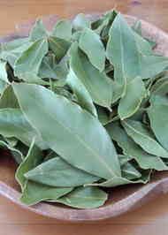 みんなが作ってる 乾燥ローリエ 作り方のレシピ クックパッド 簡単おいしいみんなのレシピが373万品