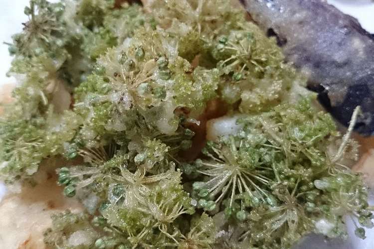 ウドの花と若い実の天ぷら レシピ 作り方 By 福井のおじじ クックパッド 簡単おいしいみんなのレシピが359万品