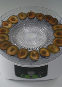 簡単☆食品乾燥機で自家製ドライプルーン